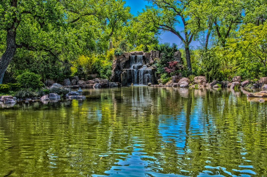 Botanical garden, Albuquerque, NM