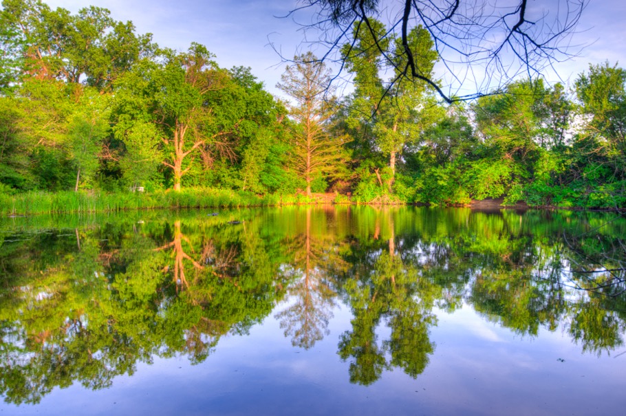 Dillon Nature Center, Hutchinson, KS